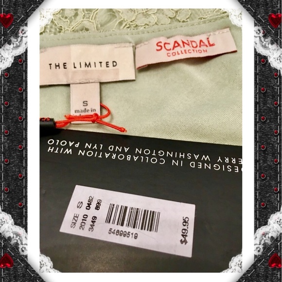 The Limited Lace Overlay Blouse - Picture 7 of 7